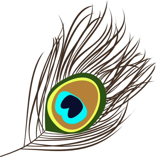498x500 Collection Of Free Flute Drawing Peacock Feather Download On Ui Ex