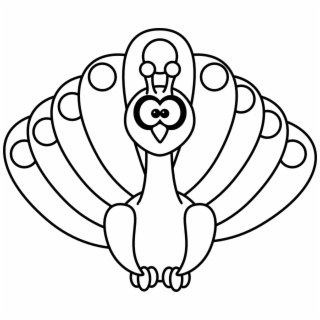 320x320 Hd Banner Black And White Stock The Peacock Feather Peafowl