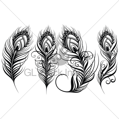 Peacock Feather Line Drawing Free Download On Clipartmag