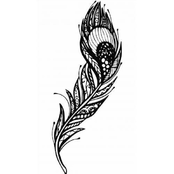 700x700 Peacock Feather Amee House