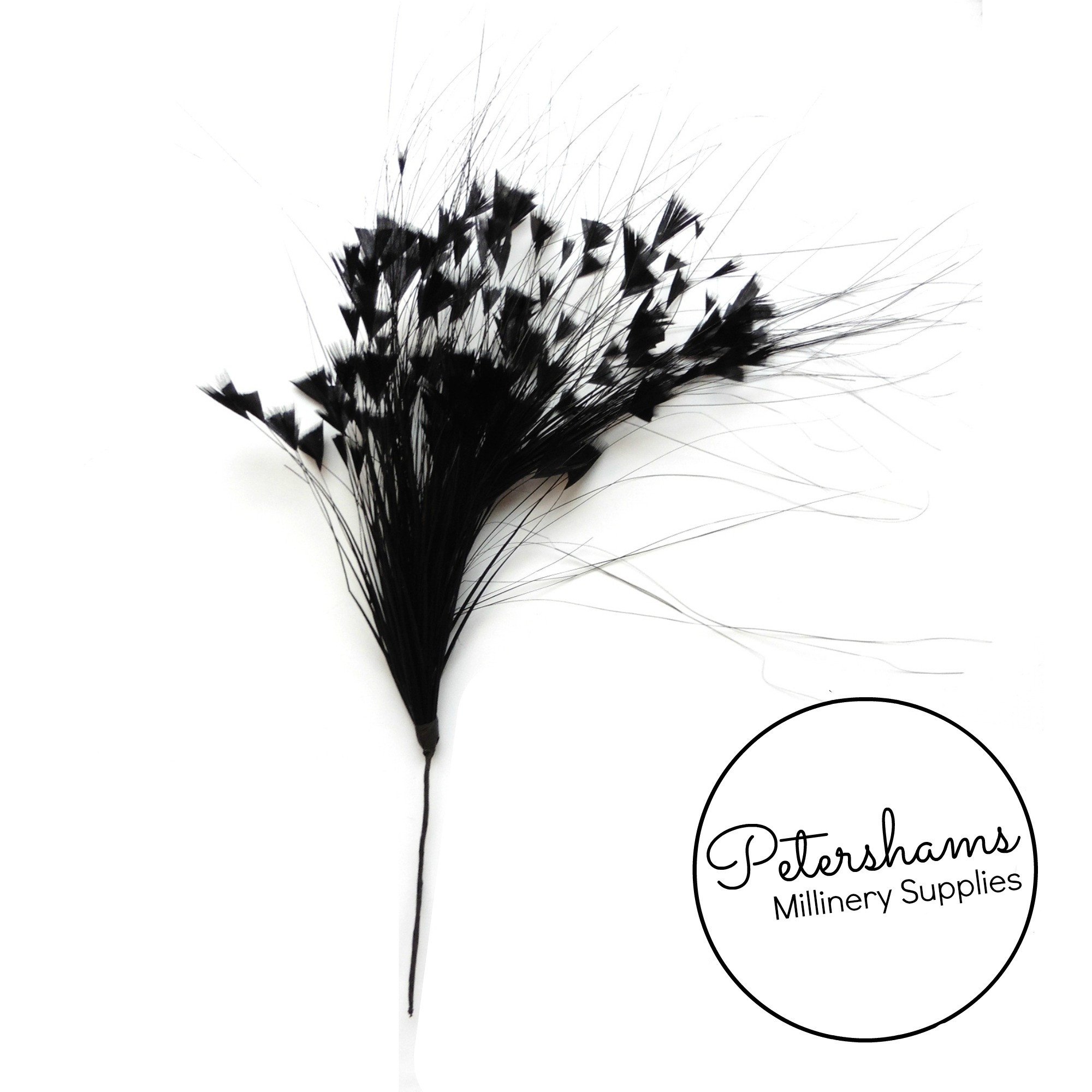 2000x2000 Triangle Tipped Stripped Coque Burnt Peacock Feather Mount