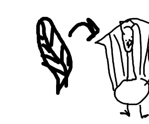 300x250 A Peacock Feather