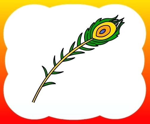 503x415 How To Draw Peacock Step