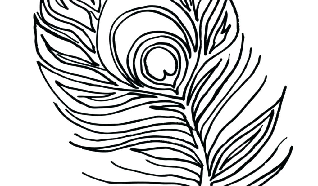 Peacock Feather Line Drawing Free Download On Clipartmag