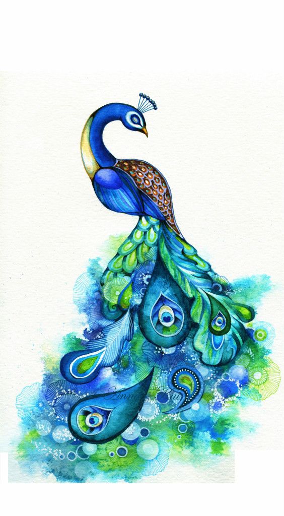 564x1024 Line Drawing Of Peacock