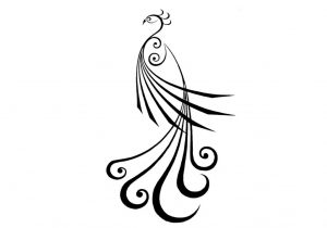 300x210 Simple Peacock Pencil Drawing