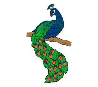 315x279 Collection Of Free Peacock Drawing Realistic Download On Ui Ex
