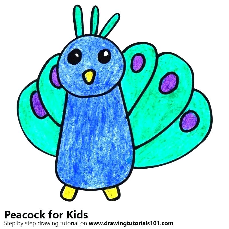 800x800 Drawing Peacock Step