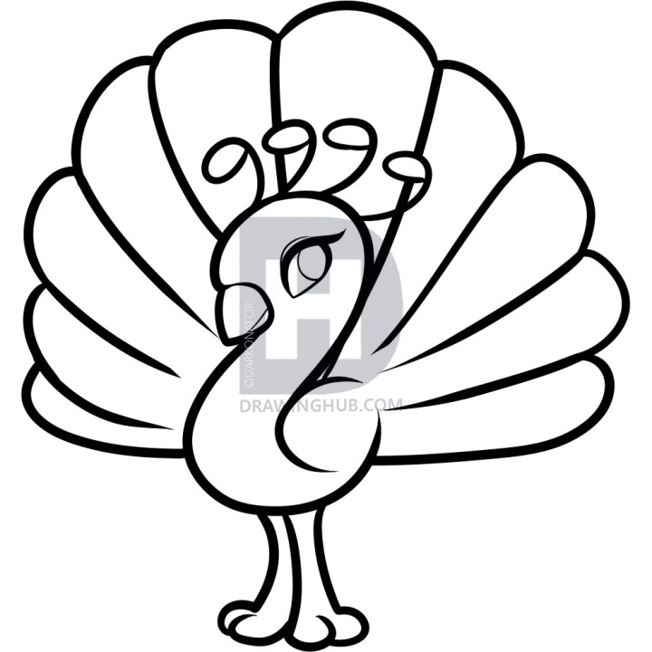 720x720 How To Draw A Peacock For Kids, Step