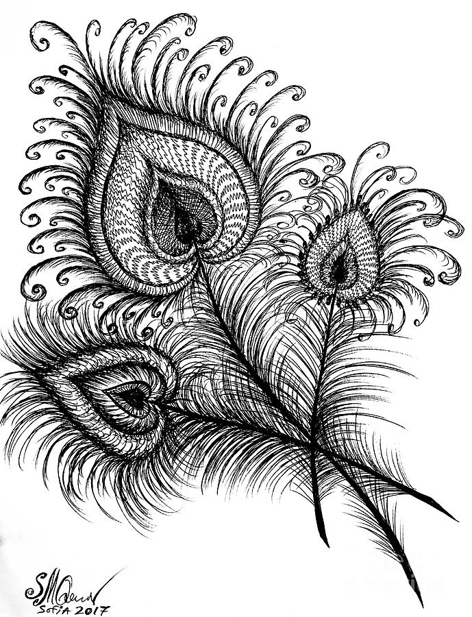 689x900 Huge Collection Of 'peacock Feathers Drawing' Download More Than