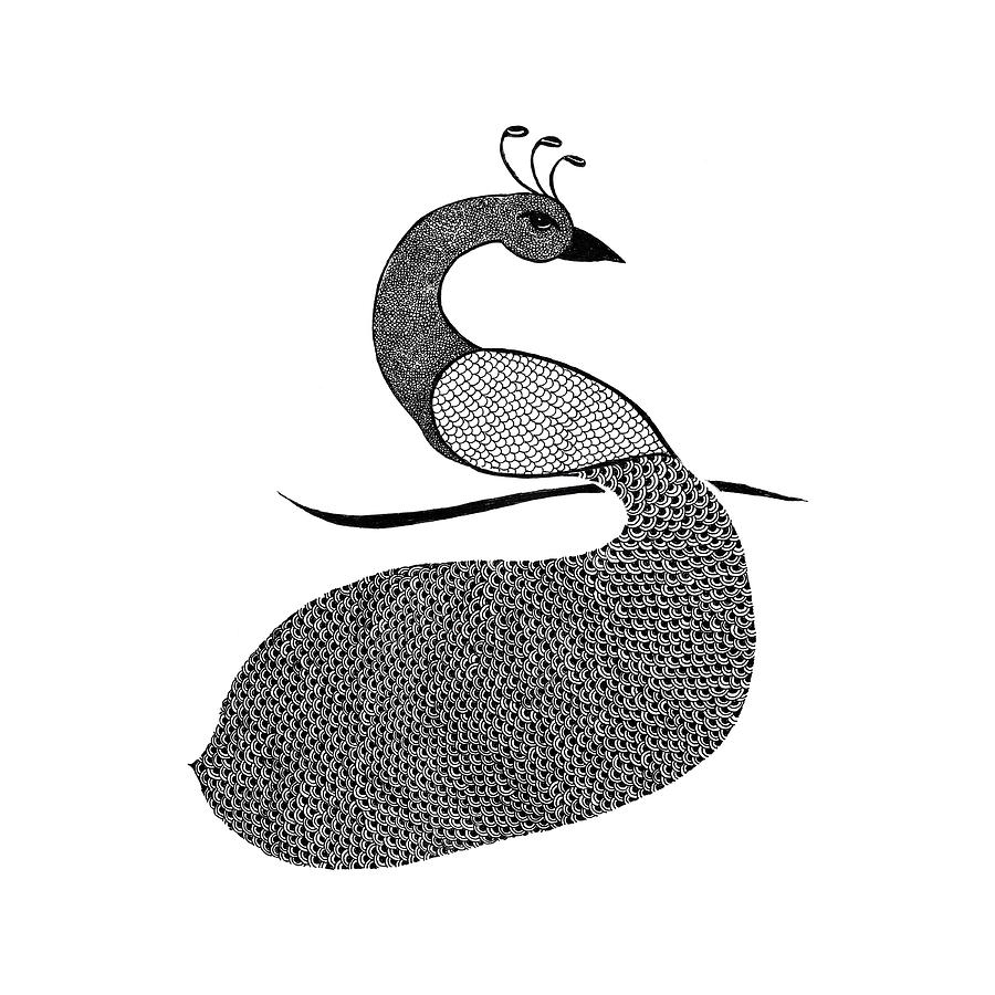 900x900 Indian Peacock Drawing