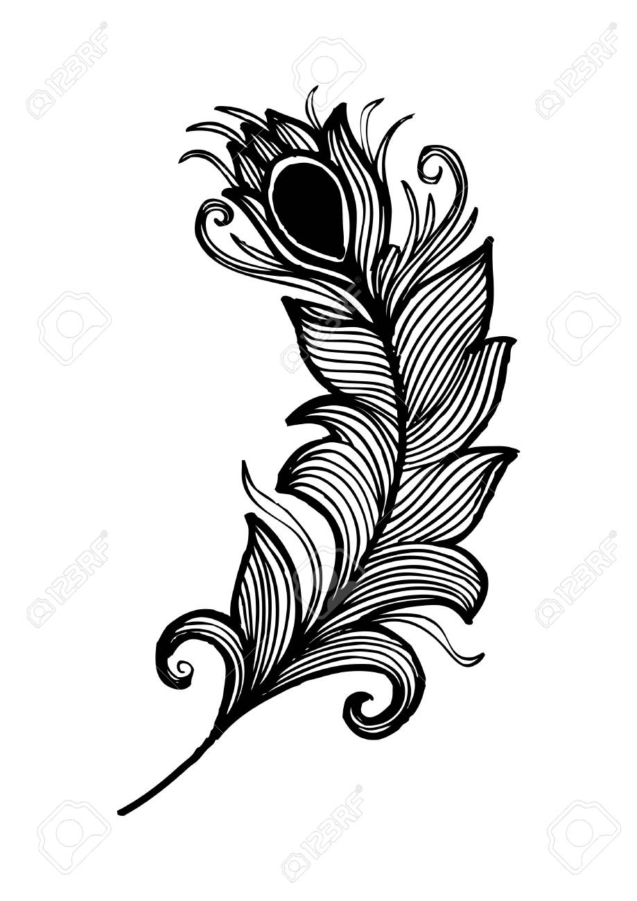 919x1300 Huge Collection Of 'peacock Tail Drawing' Download More Than