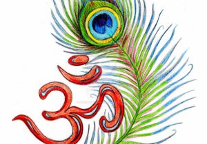 300x210 peacock feather pencil drawing realistic peacock drawings peacock