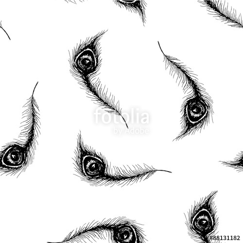500x500 Peacock Feathers Ink Sketch Seamless Pattern Stock Image
