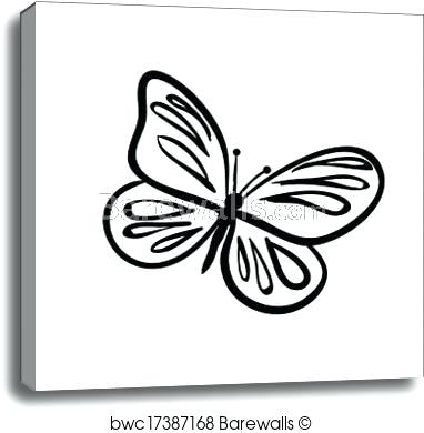 382x390 Butterfly Sketch Peacock Butterfly Sketch