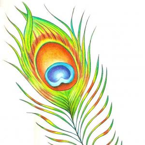 300x300 Free To Use Clip Art Images Peacock Feather Soidergi