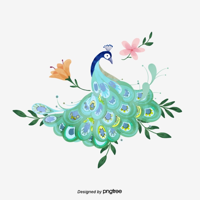 640x640 Peacock Feather Png, Vectors, And Clipart For Free Download