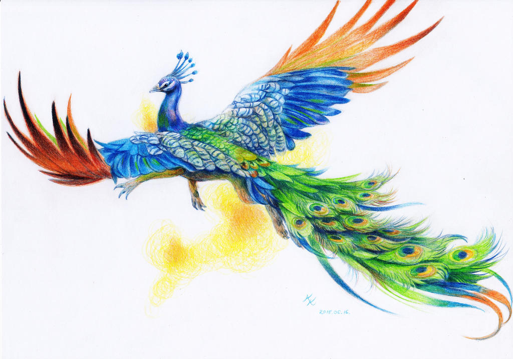 1024x718 Peacock Griffin