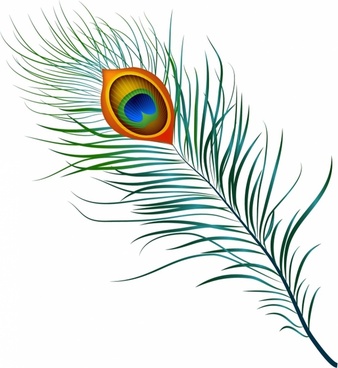 338x368 Peacock Free Vector Download