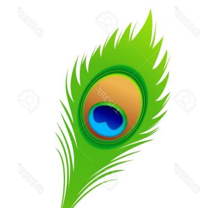 300x300 Top Peacock Feather Vector Drawing Soidergi