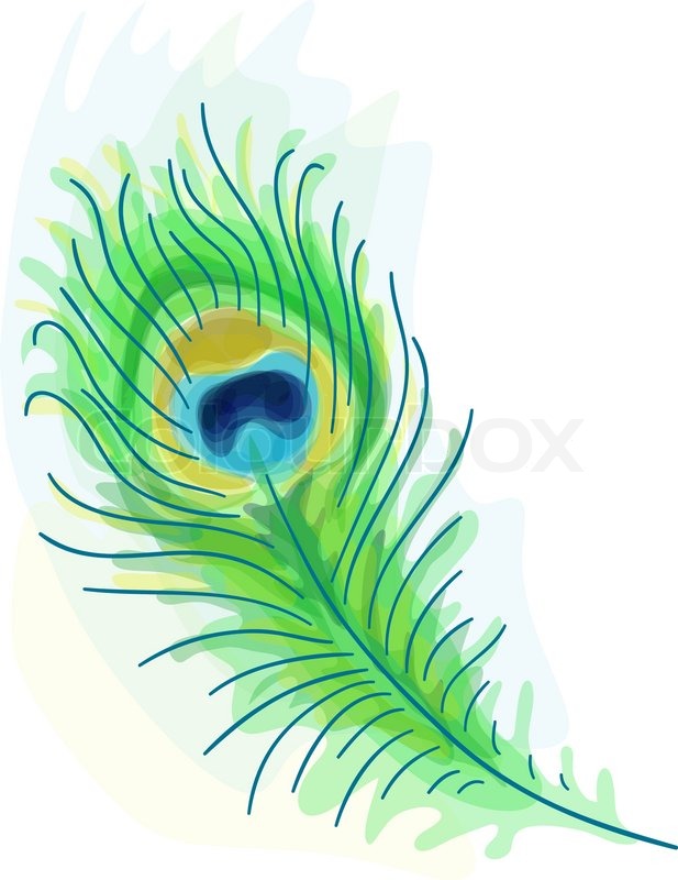 617x800 Feather Of A Peacock Watercolor Style Stock Vector Colourbox