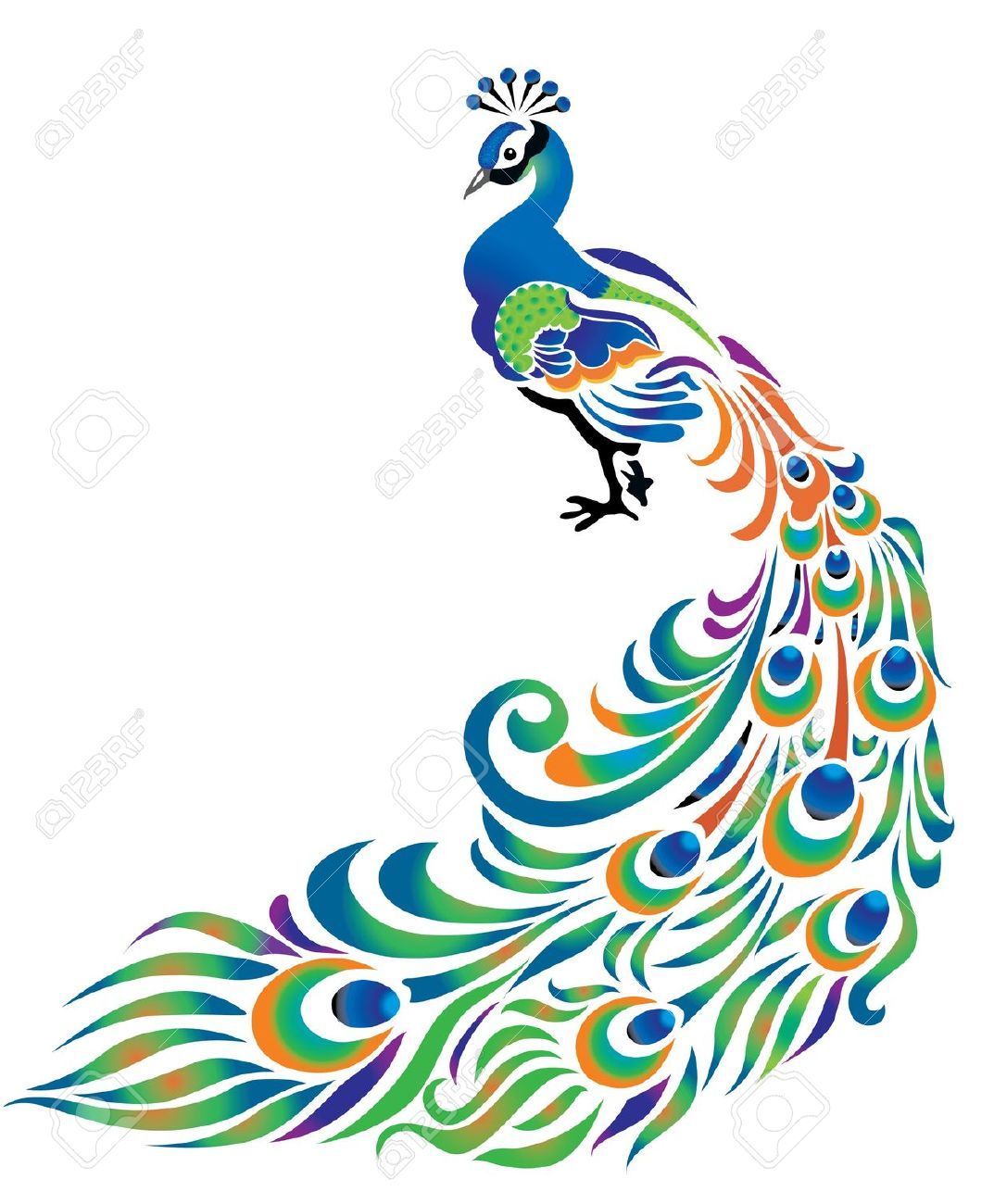 1073x1300 Free Peacock Clipart