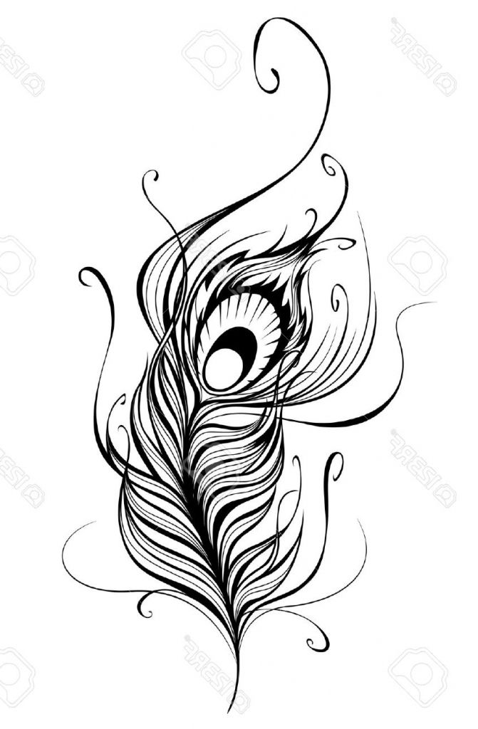 671x1024 Image Result For Peacock Feather Drawing Projects To Try