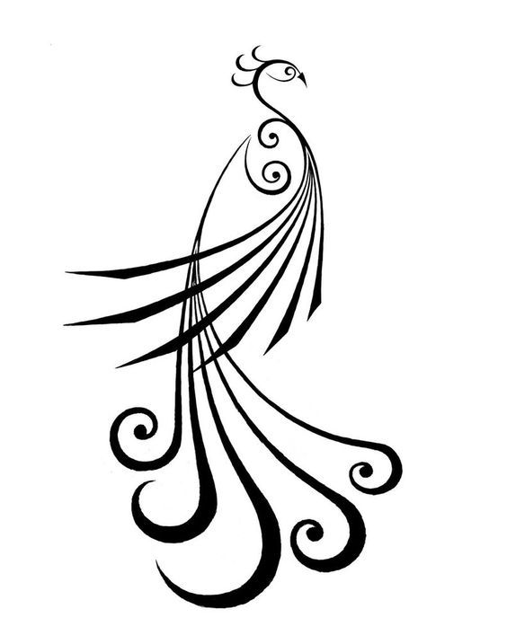 564x717 tatouages shandel de par drivenimage feathers peacock tattoo