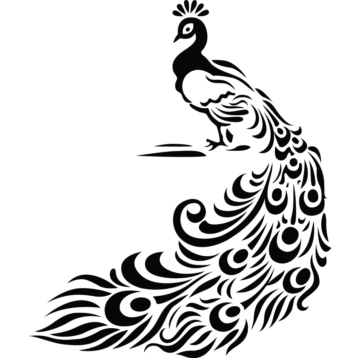 1200x1200 Peacock Drawing Black And White Landscape Pictures And Ideas