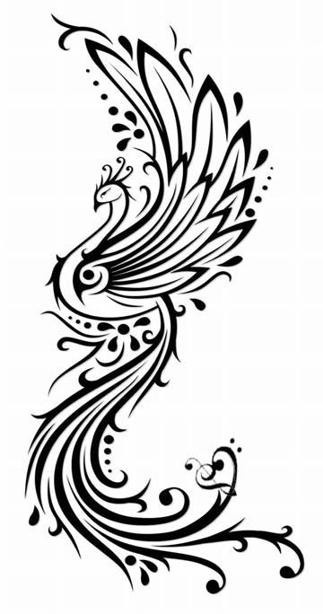 360x684 Attractive Tribal Peacock Tattoo Design