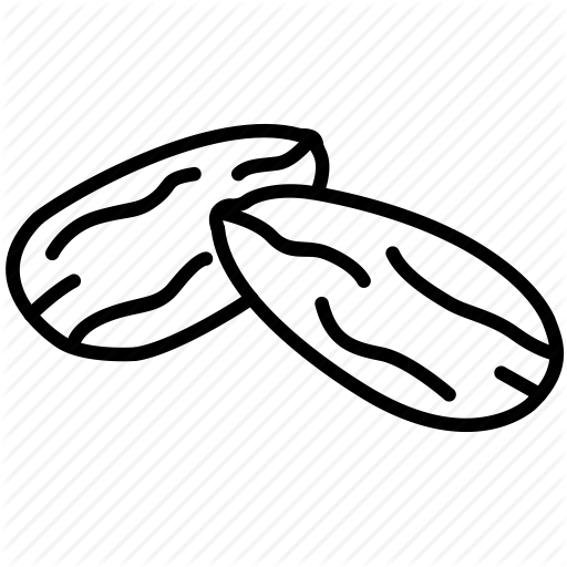512x512 Collection Of Free Peanut Drawing Dry Fruit Download On Ui Ex