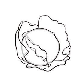 275x275 How To Draw A Peanut Step