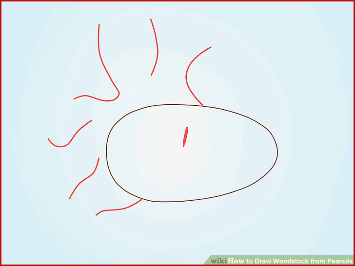 728x546 Nice Peanut Drawing Photos Of Drawing Picture