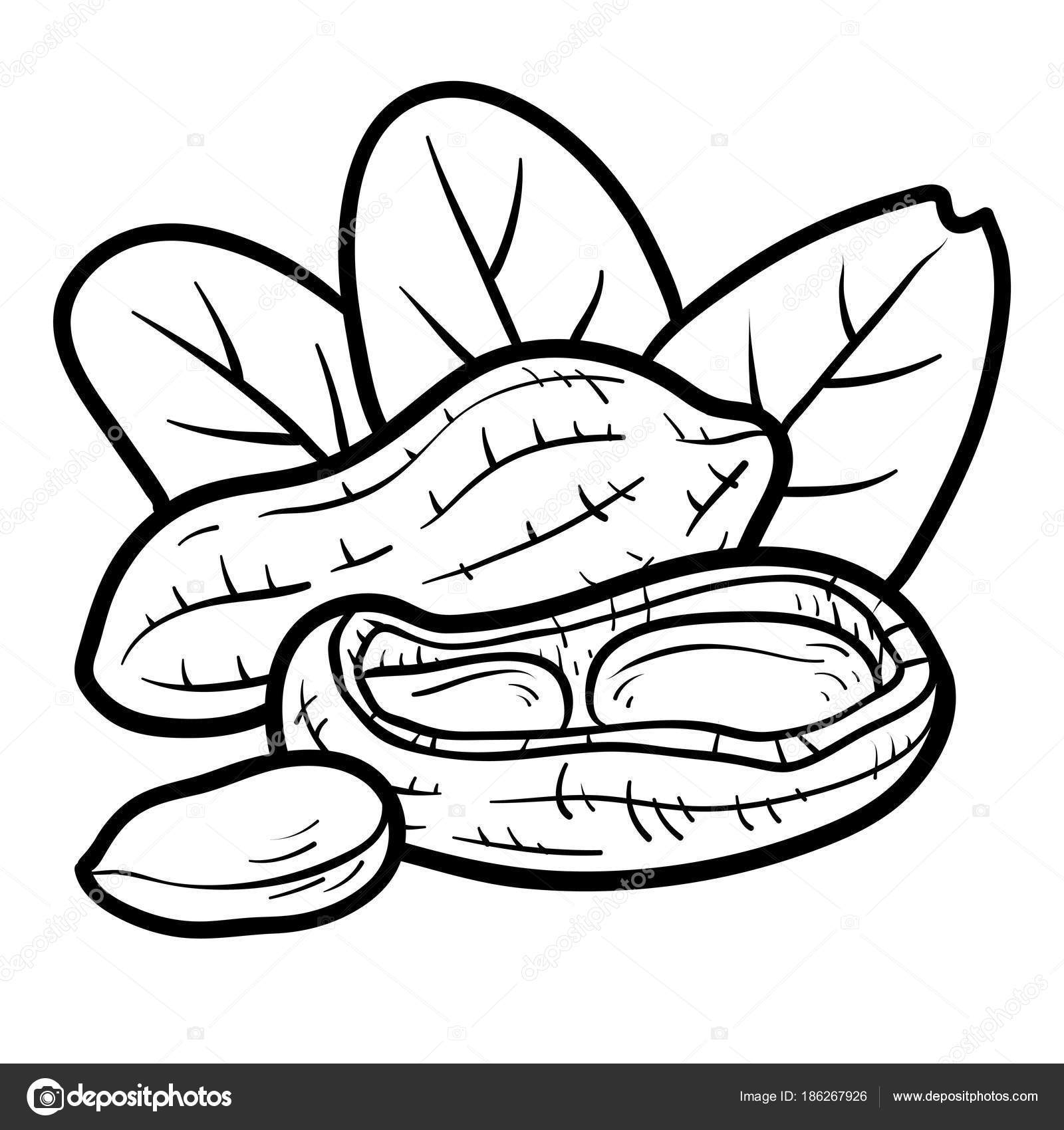 1600x1700 Peanut Coloring Book Cool Peanuts Pages Printable Vintage Snoopy