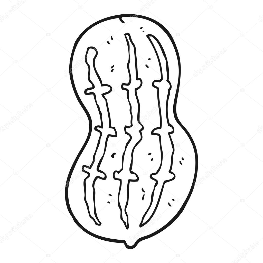 1024x1024 Peanut Drawing Black And White For Free Download