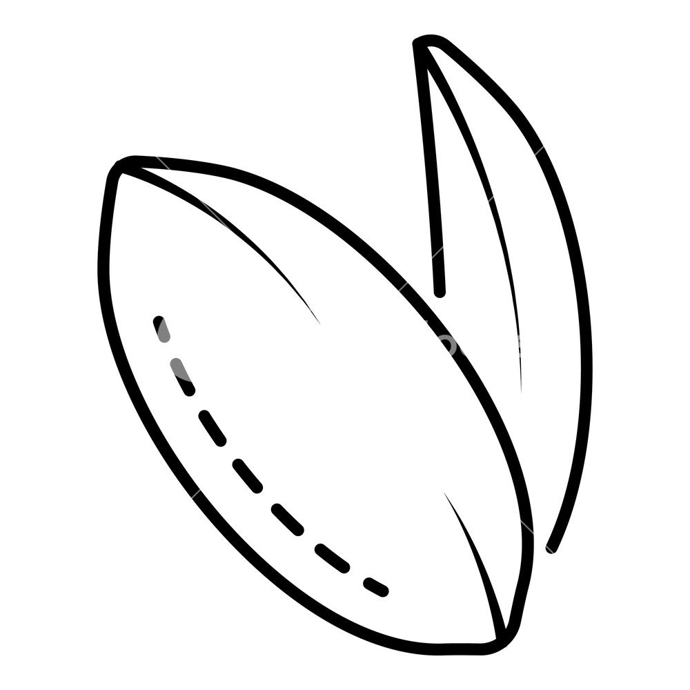 1000x1000 peanut icon outline peanut vector icon for web design isolated