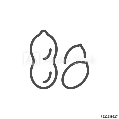 500x500 Peanut Line Icon