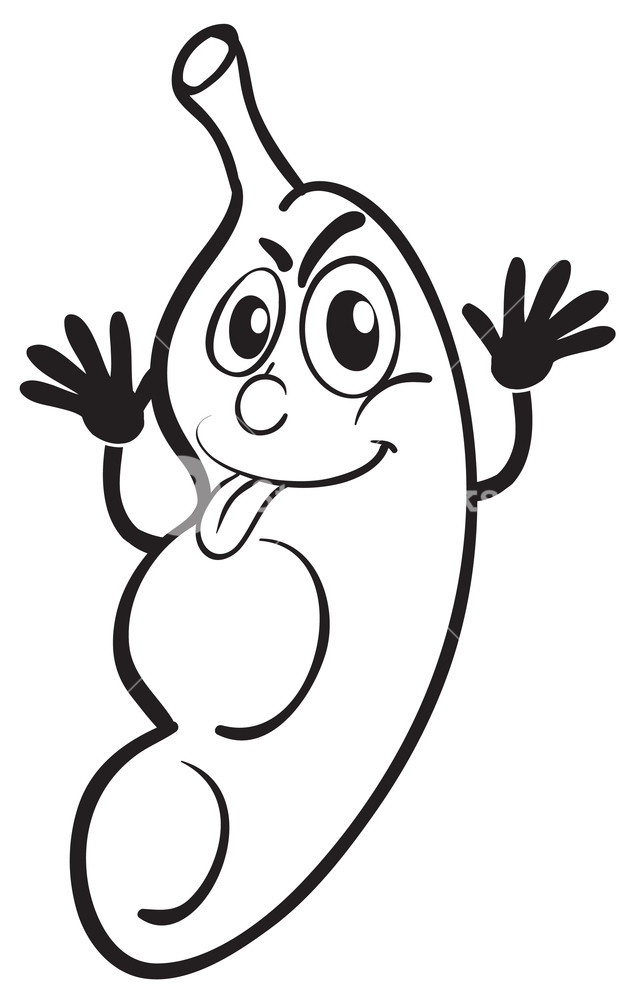 640x1000 Illustration Of A Peanut Sketch On A White Background Royalty Free
