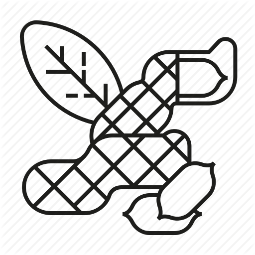 512x512 Collection Of Free Peanut Drawing Food Download On Ui Ex