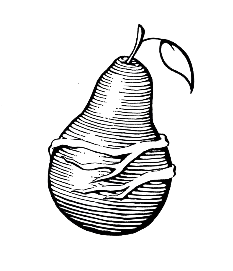 803x934 Collection Of Free Pear Drawing Tonal Download On Ui Ex