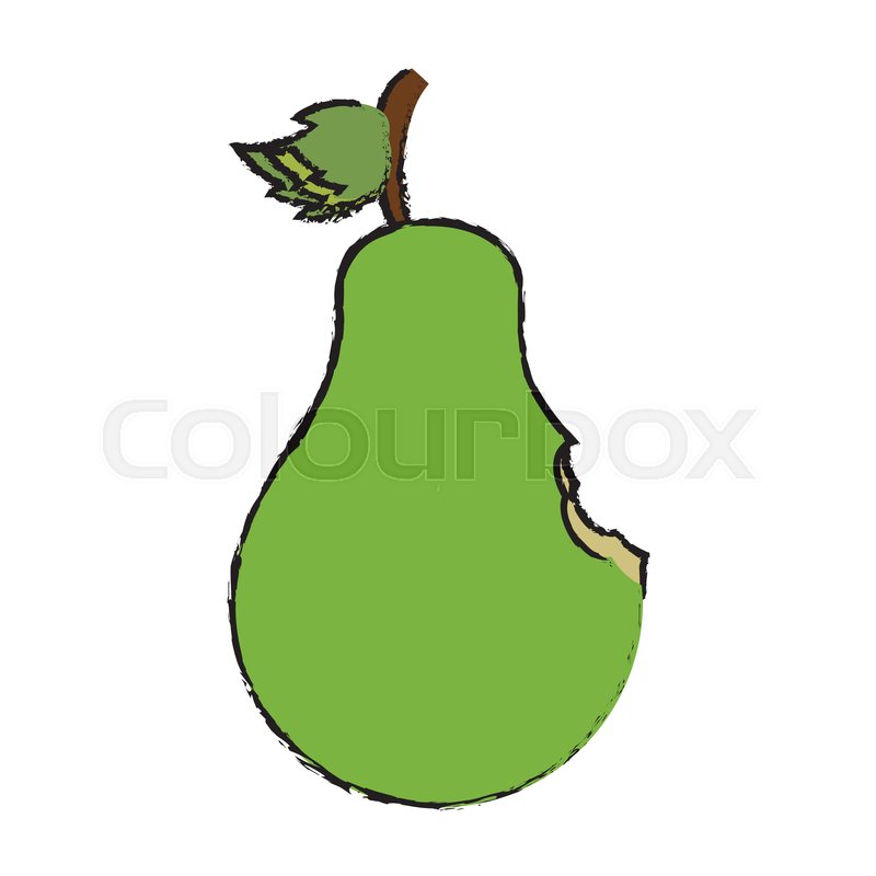 800x800 Drawing Sweet Pear Nibble Vector Stock Vector Colourbox
