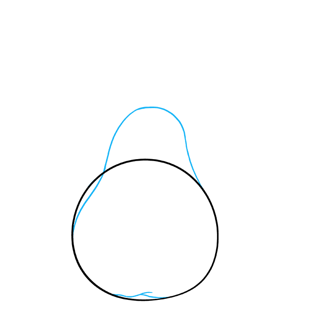 680x678 How To Draw Pears