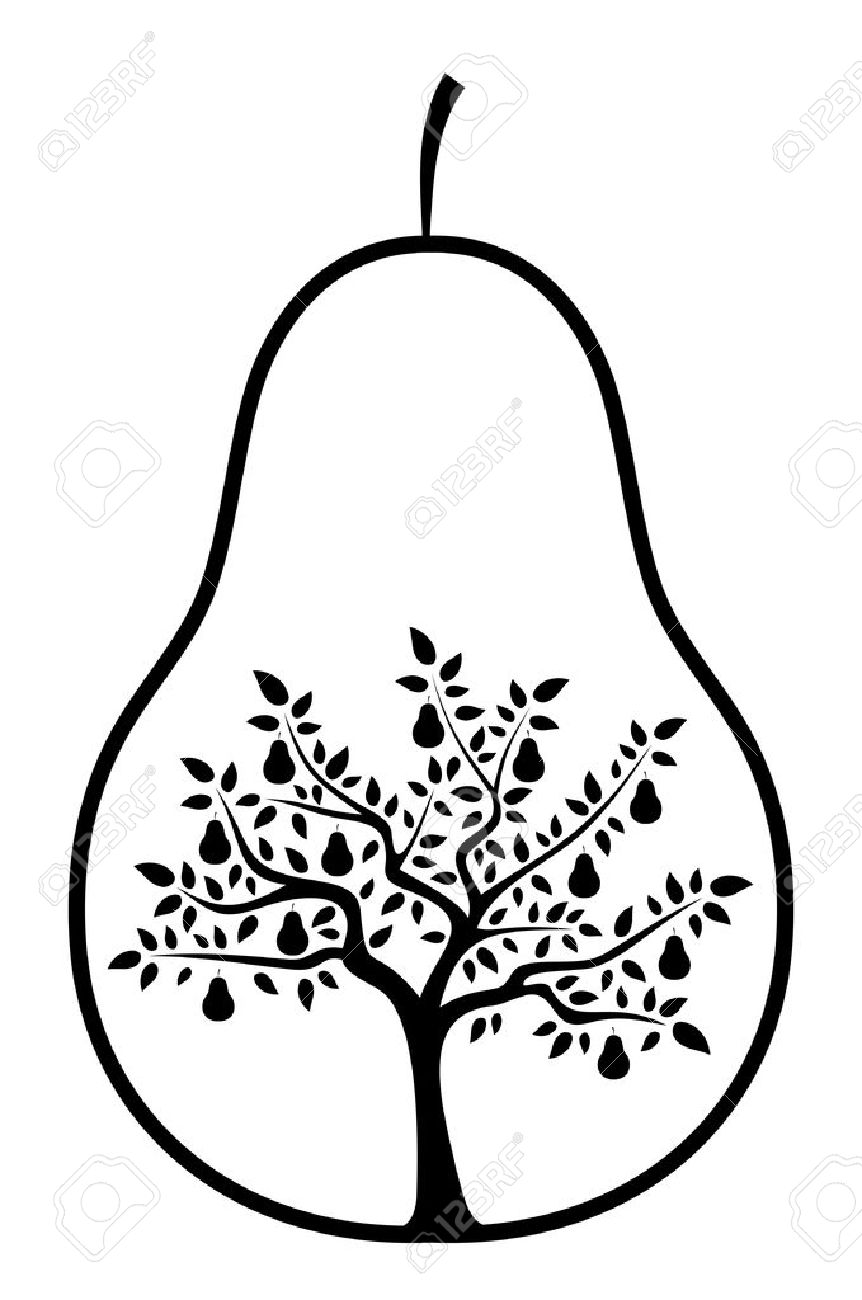 862x1300 Huge Collection Of 'pear Tree Drawing' Download More Than