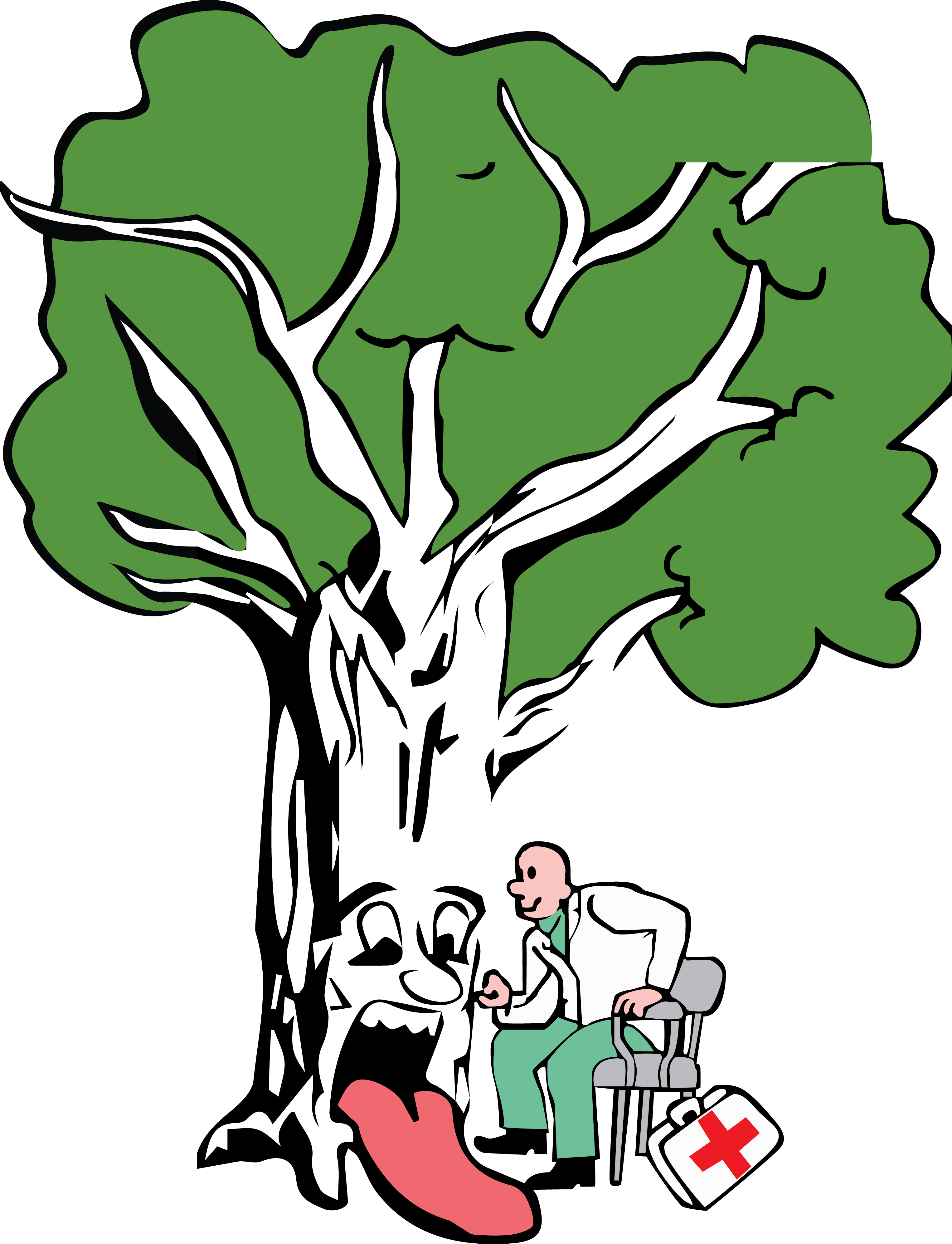 3052x3986 Bark Drawing Apple Tree Transparent Png Clipart Free Download