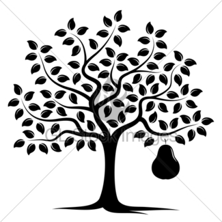 325x325 Golden Pear Tree Gl Stock Images