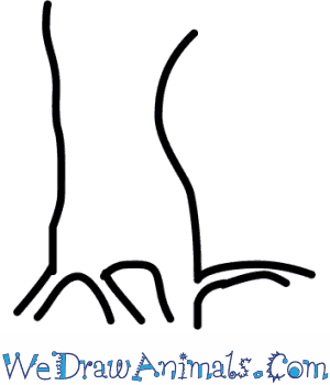 300x350 How To Draw A Pear Tree