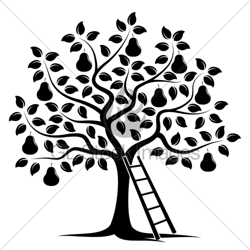 500x500 Pear Tree Gl Stock Images