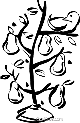 315x480 Pear Tree Royalty Free Vector Clip Art Illustration