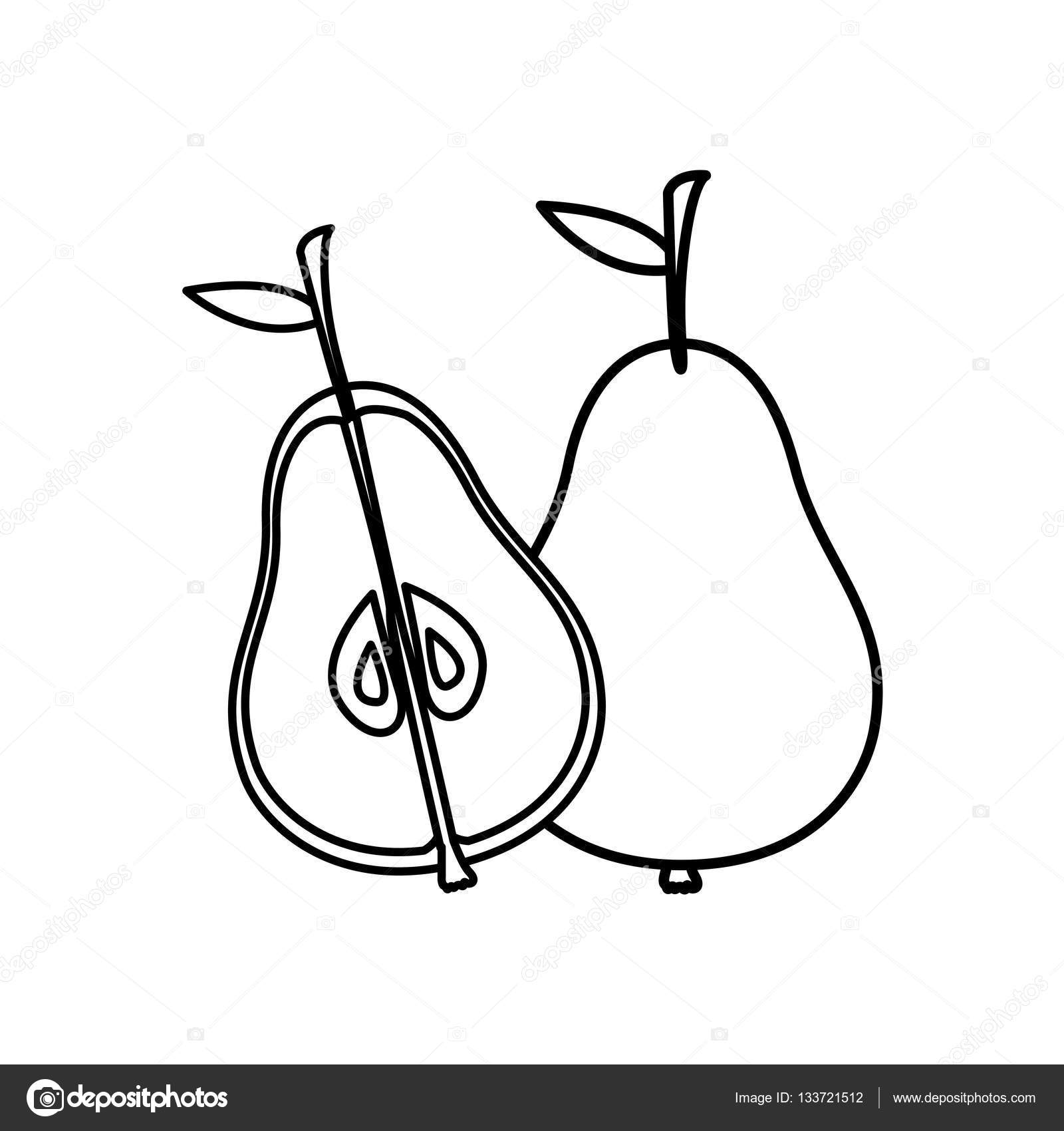 1600x1700 Pear Drawing Organic For Free Download