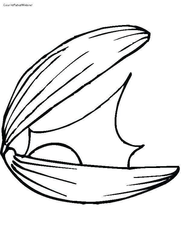 600x756 clam drawing mussels clam shell clamshell with pearl drawing